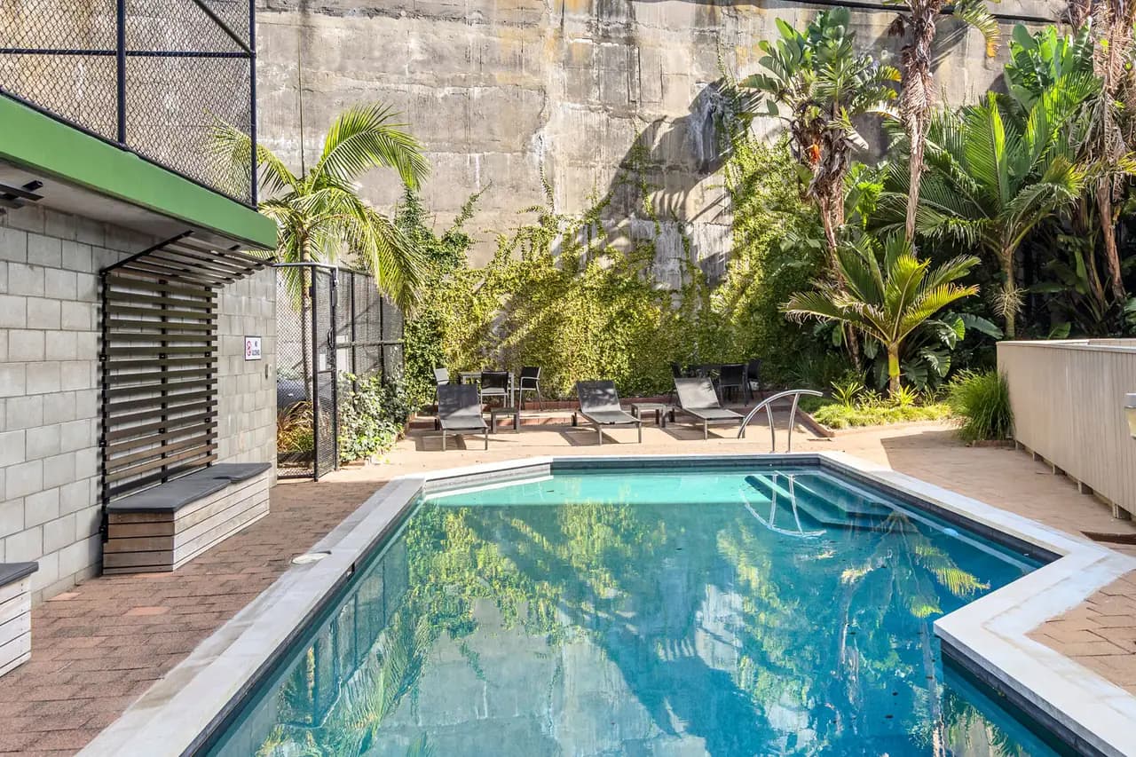 The heated pool at Western Park, set against a wall of palms