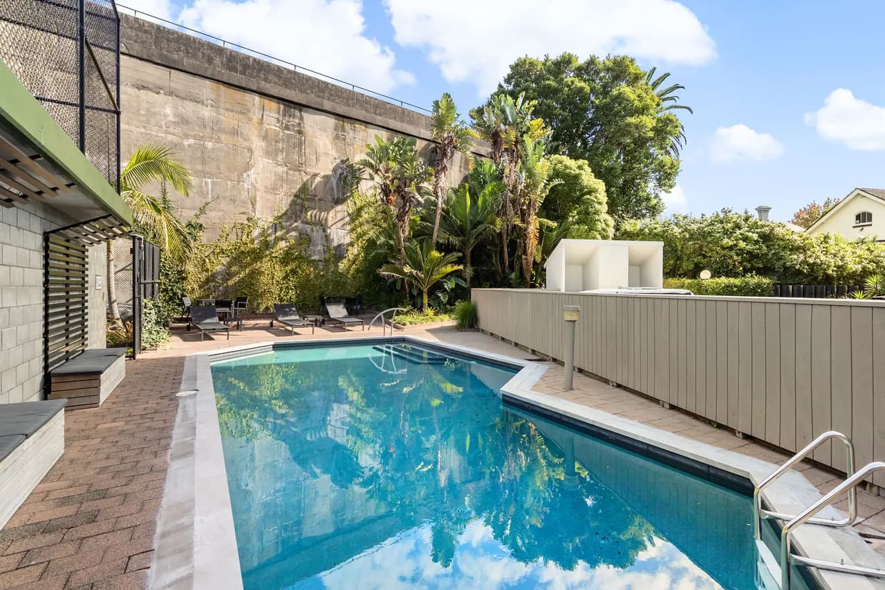 The heated pool at Western Park, set against a wall of palms